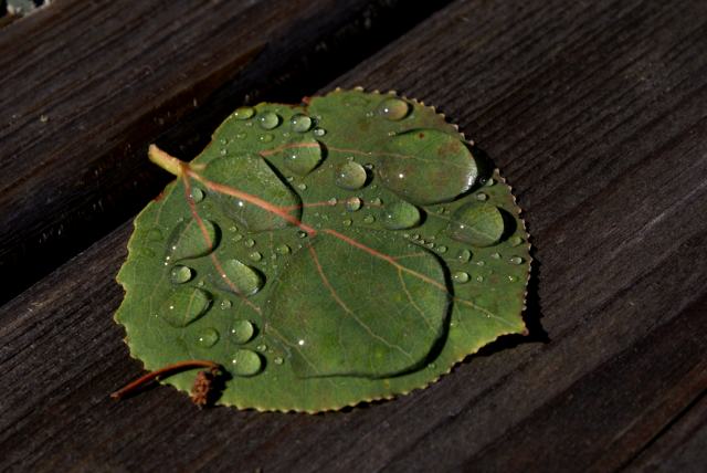 By Thursday morning the sun was out, the sky was blue and the ground was wet.