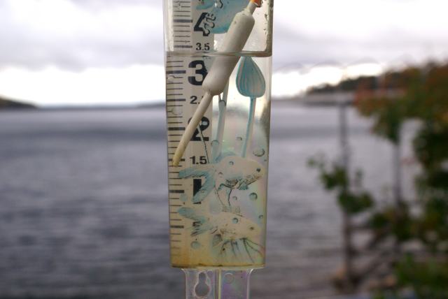 Rain! In buckets!  On Friday, but mostly Thursday, the northwoods were treated to more rain than anytime during the last few years.  Almost 3.5 inches.  Streams flowed into the lake all weekend.