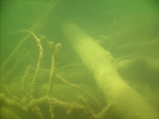And speaking of freezing, some air was burned in 2 SCUBA dives last weekend.  Saturday's dive was cut short when I was chased from the waters by 2 really big bass.  On Sunday, cribs in 8 to 20 feet of water on the northwestern shore were checked for fish.  The big bass were seen about 20 feet away but did not come close.  There are few fish on the cribs.