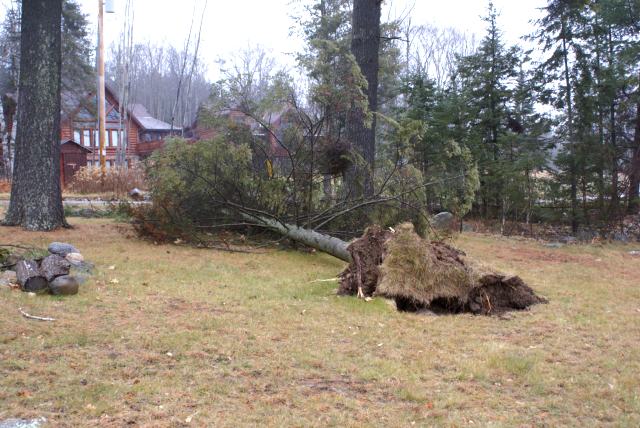 There were branches, tree tops and full trees down all over the north end of the lake.