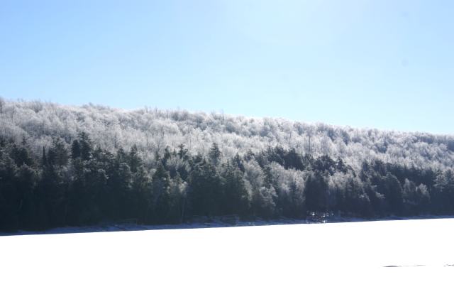 Frost covered the trees on the shore. The weak winter sun slowly burned it off by noon.