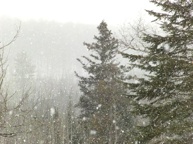 Lake effect snow fell on and off all day Saturday.