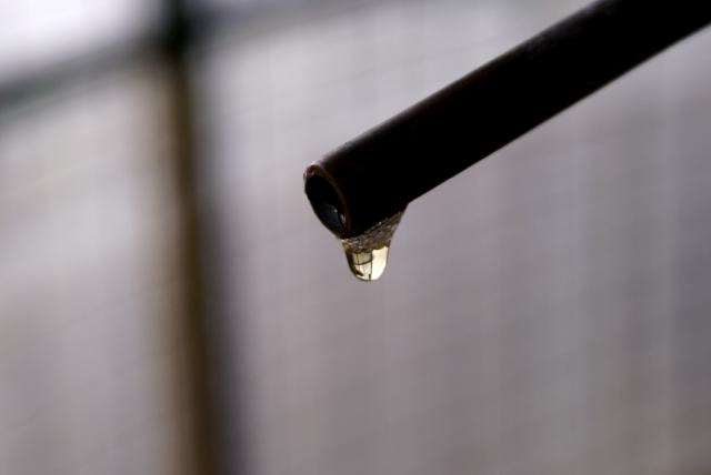 By Sunday noon, the trickle tube was quiet and 18.25 fresh gallons were in pint bottles.