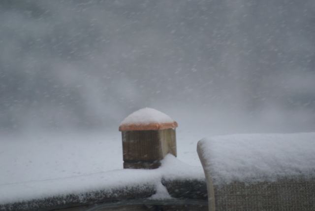 With the brutally cold temperatures came snow.