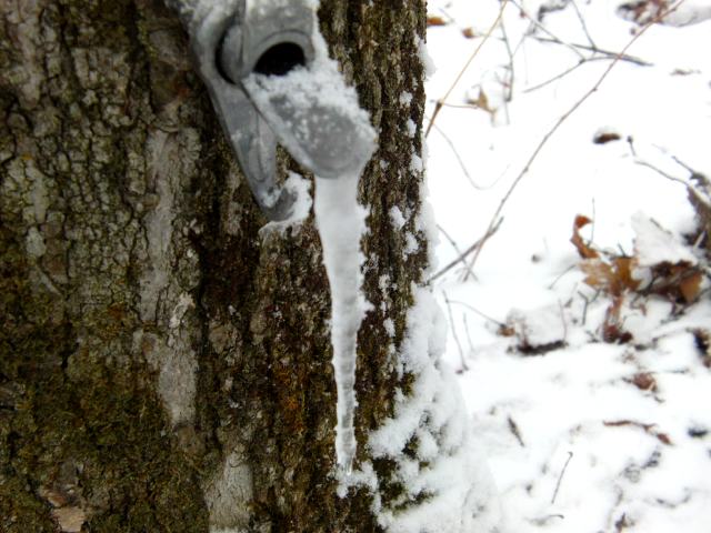The taps were not completely unaffected.