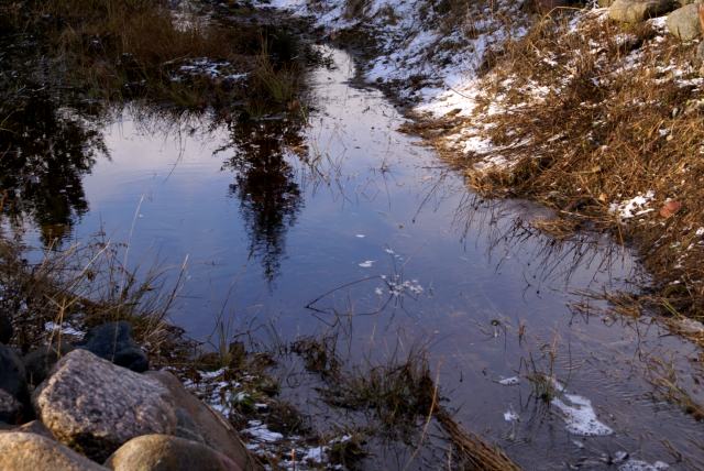 The overnight rain/snow kept the creek in the northeastern corner of the lake flowing.
