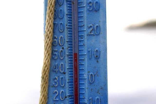 A pool thermometer was tossed into the de-iced lake later in the weekend.  Just over 50°F is pretty refreshing for any potential swimmers. The lake water was not the only refreshing liquid in the area. 