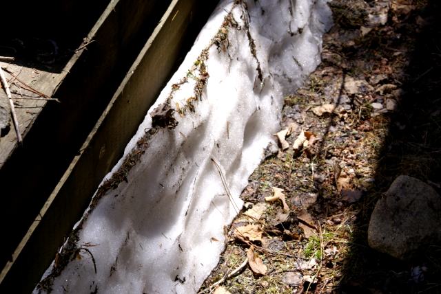 If you look closely, snow can still be found in some well protected areas.  Don't expect much to make next weekend.