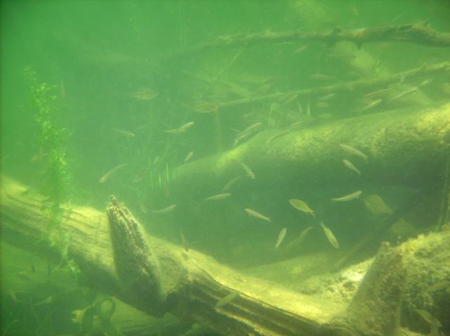 Lake Lucerne