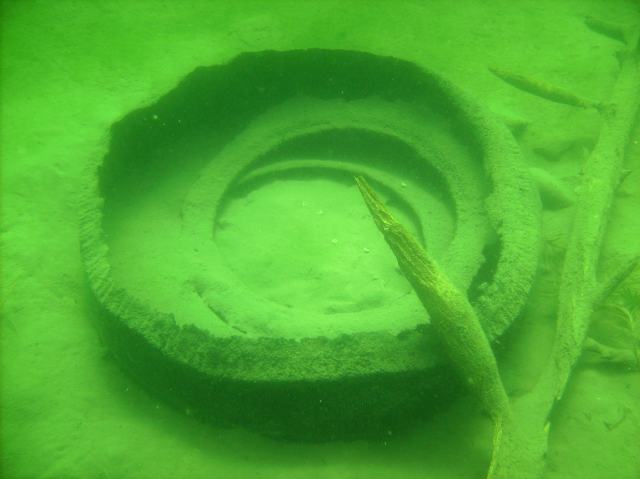 One tire was found and removed from the lake bottom also.