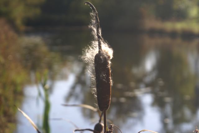 Signs of Fall are getting hard to miss...