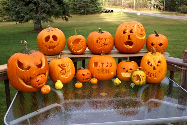 The frost was off the pumpkins by the time we got going on Sunday.