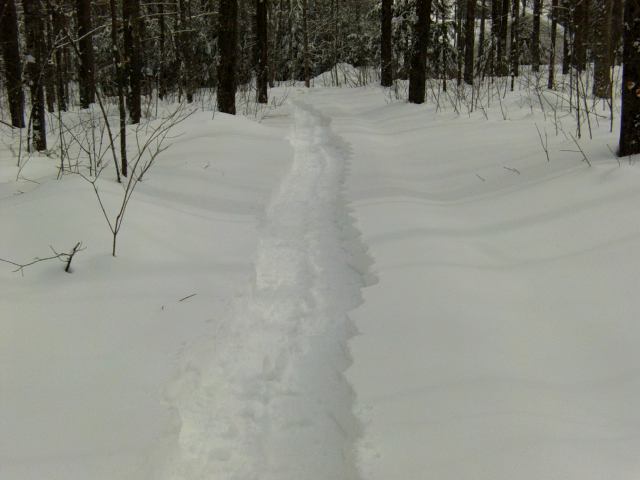 It took the two of us over an hour to hike several hundred feet uphill and back down.  It was around 20°F, we were sweaty.