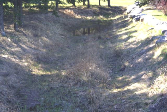 One of the first things we did upon arrival to the northwoods, was check the stream in the northeastern corner of the lake.  It's no longer flowing, but the creek bed can still be described as moist.