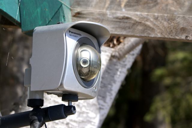 The webcam did not explode last week.  I guess the dry weather is good for outdoor electronics.  Well, that's something.