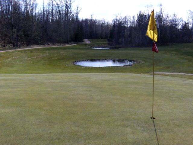 The NCC continues to have some of the best golf of the year, only it's getting more crowded.  If the weather is good on a Saturday, call for a tee time or wait for an hour to go out the back.  If you do go out the back, the fairways are really narrow.  Unless you are really, really optimistic, bring more then one ball.