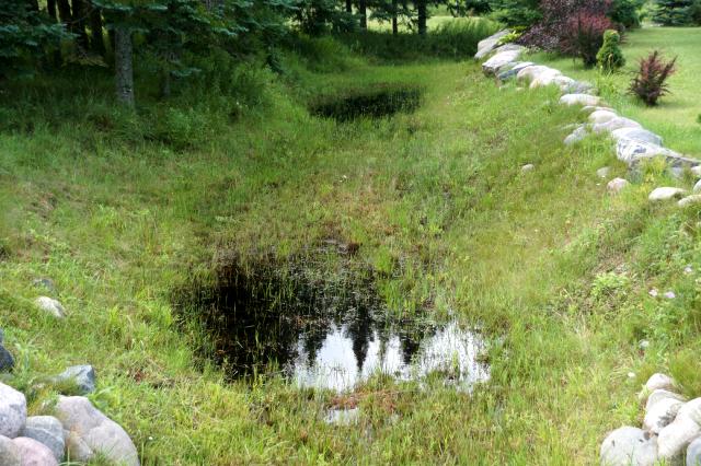 The creek is still flowing.