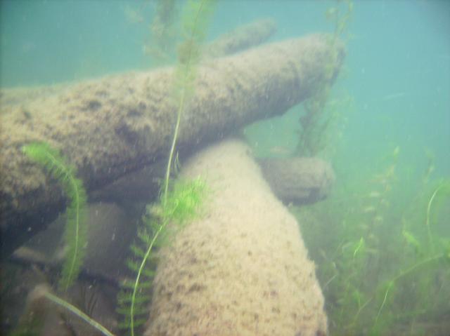 Not many fish on the cribs we looked at under the north end of the lake.