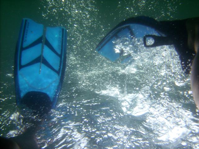 The water temperature is in the low 80s°F.  Skin diving is no longer optional.