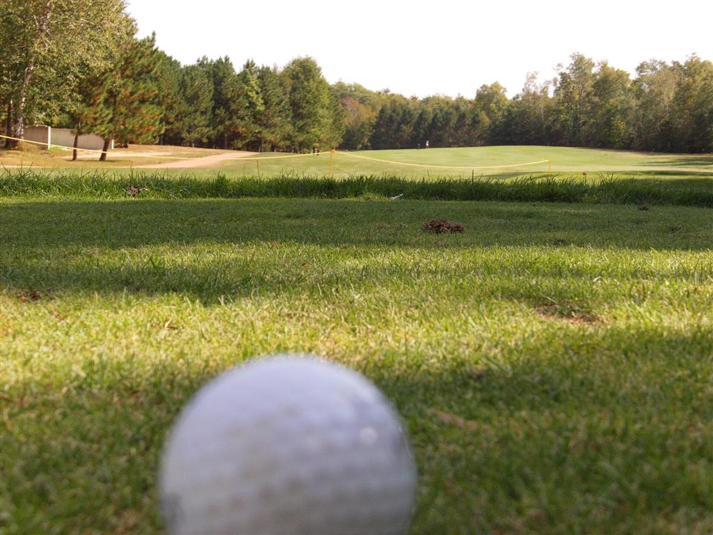 The Knott Lane open was held on Sunday.  The field of 7 teams all golfed well. Joe H's team won with a 2 under par 33.  We bogeyed the first and last holes.
