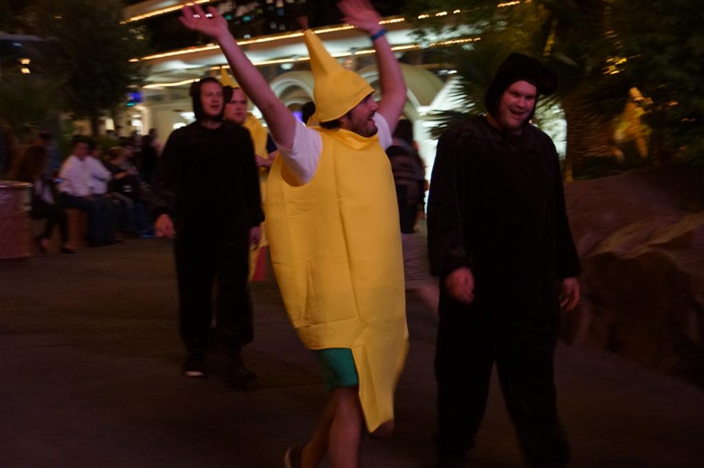 Monkeys and Bananas!