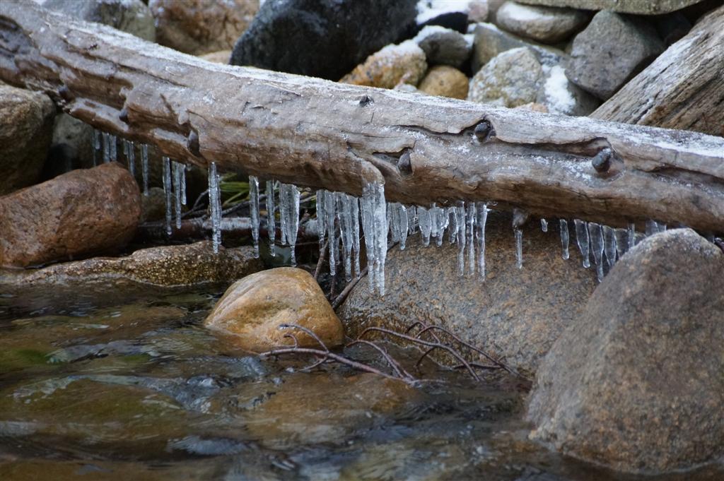 The first signs of ice-in were spotted.