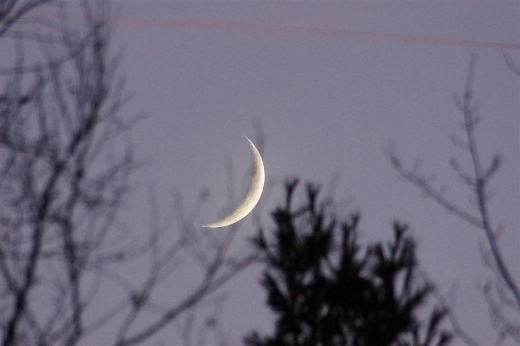 A growing sliver of moon rose in the sky during the after hunt soup, shepherd's pie and ribs that were had at the bar by any passing hunter on Saturday night.