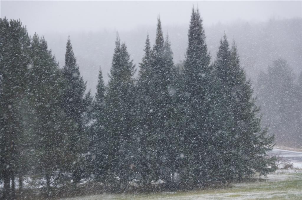 Shortly after that, winter made its first real appearance.