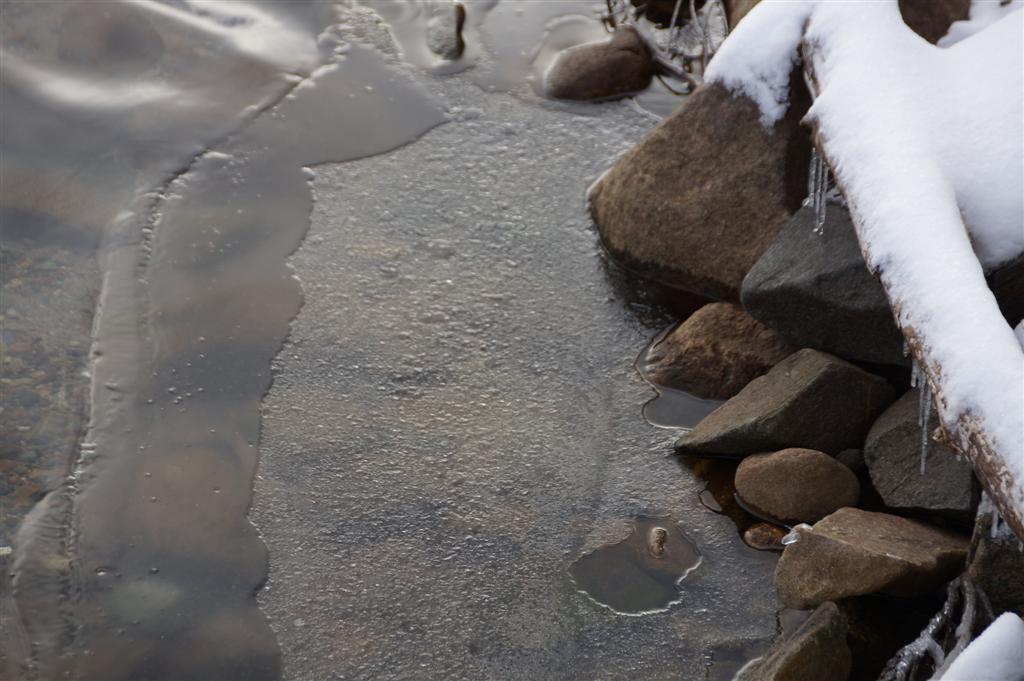 It reached out from much of the shoreline only about 2 feet.  Rough water on Tuesday erased it from the edges in spite of a very cold Monday night.