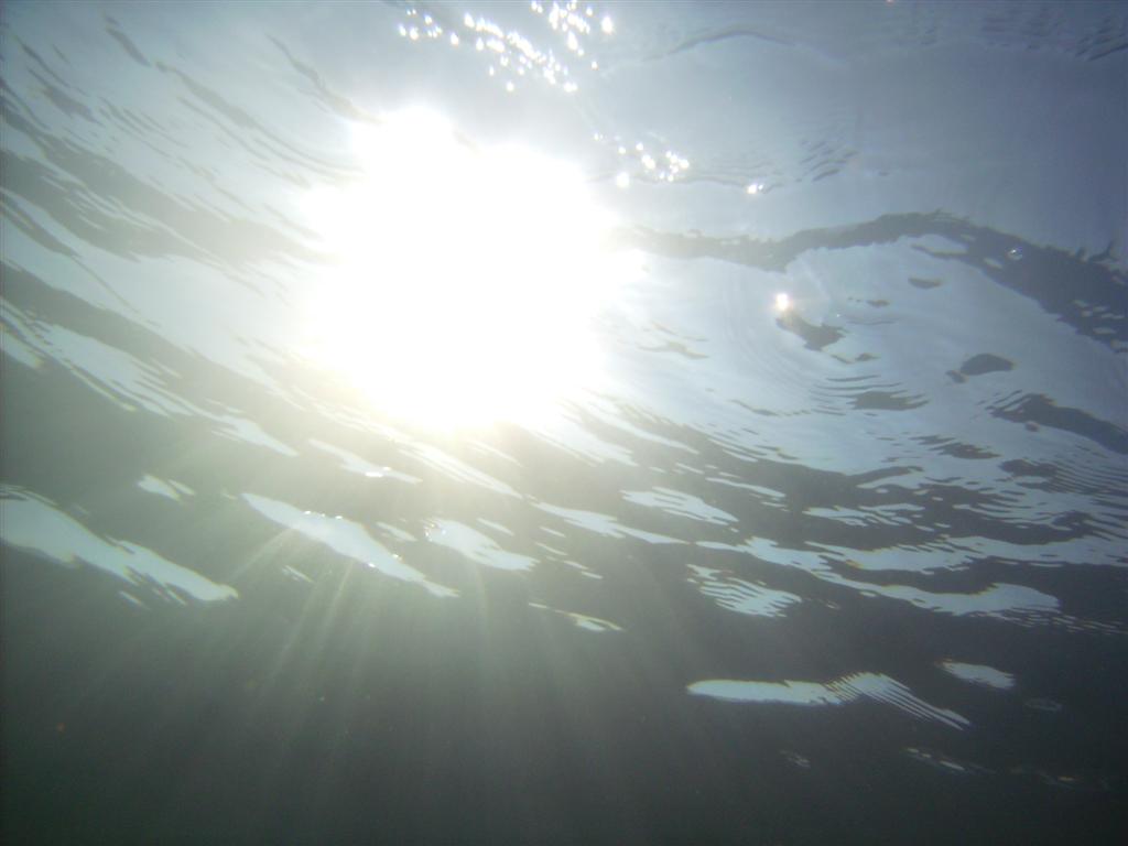 The water was 47°F and very clear.