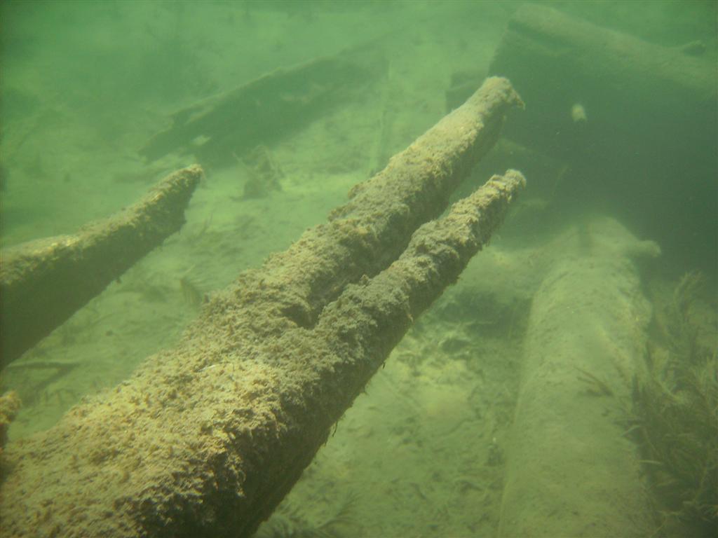 Saw lots of logs and other crib components but no fish.