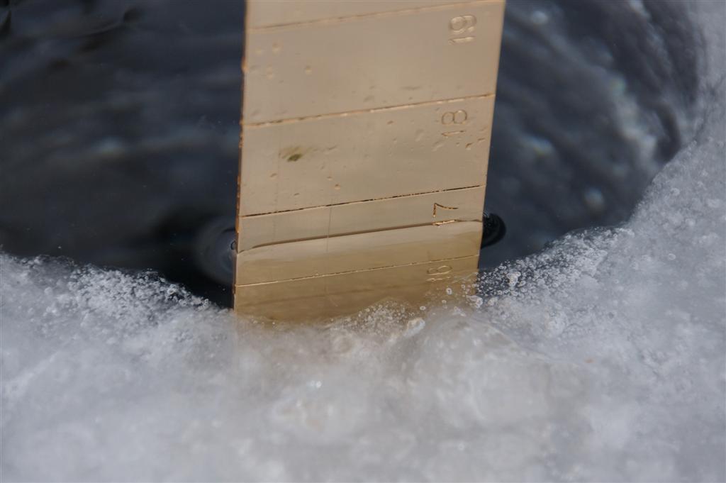 The second week of Thaw has the ice on the lake at almost 17 inches thick.  It should hit the half yard mark by next week.