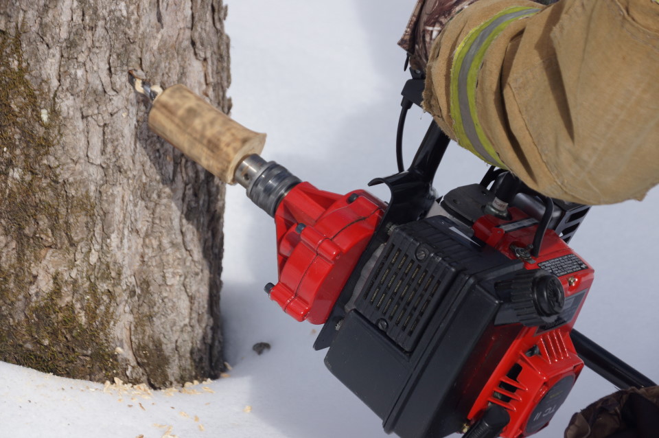 Holes were first added to trees with a gas powered thingy until it broke.