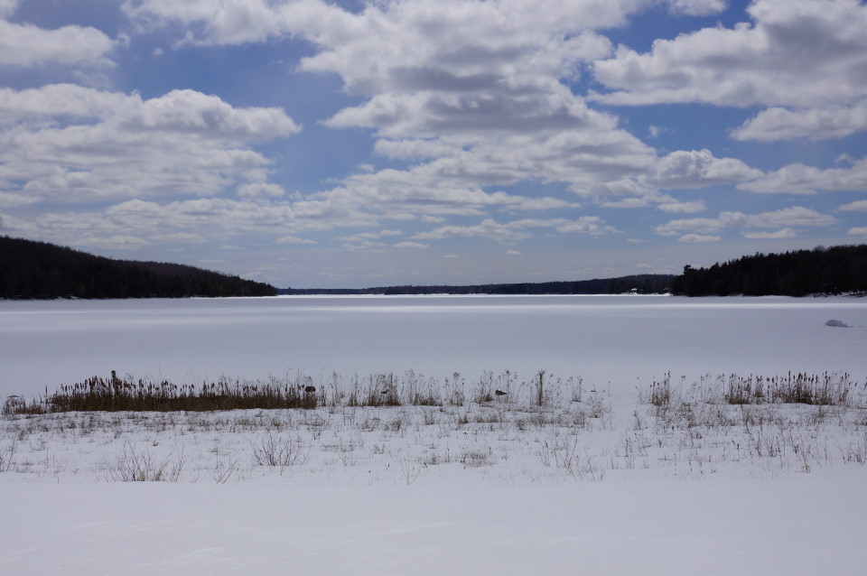 The week started off more Spring like than any other this year.  Sunny skies and temperatures just a few degrees below normal promised the beginning of the end of Winter's cruel reign.
