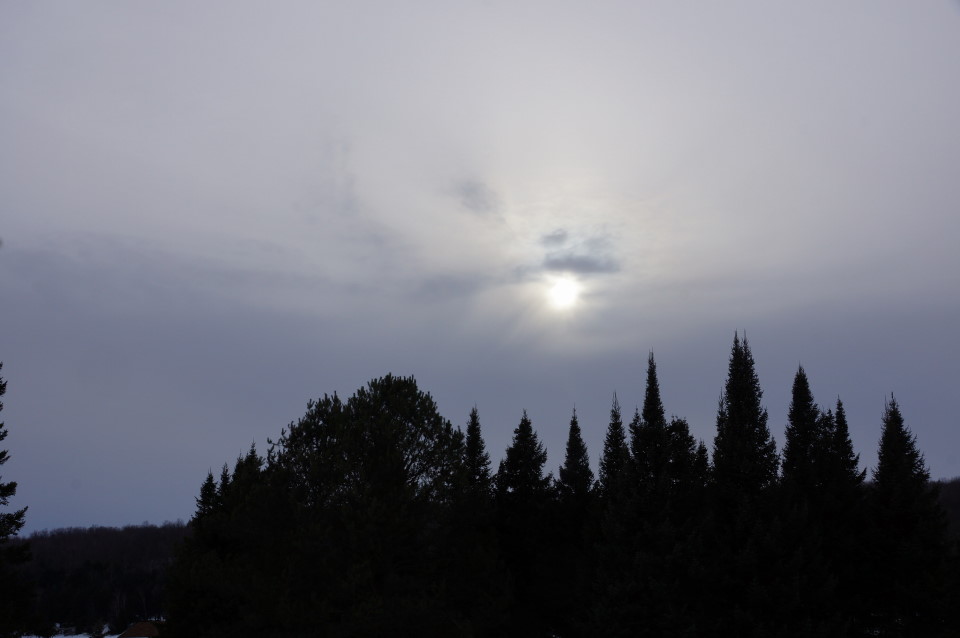Spring was not to last.  Deep, dark clouds moved in mid-week and have taken up residence ever since.  The clouds brought snow.  How wonderful.