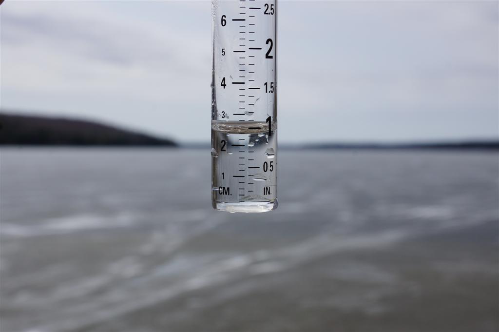 As is common for this time of Spring, but has been uncommon for the last few years, the lake area has been wet.  Rain seems to be a daily thing.