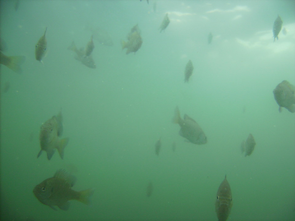 Lake Lucerne