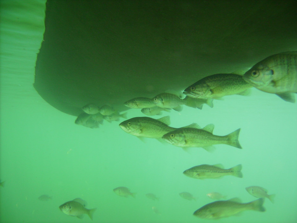 Lake Lucerne