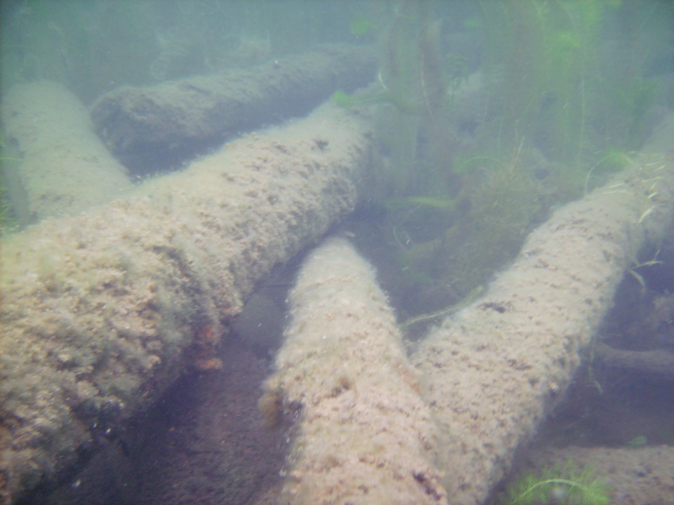 It's been quiet under the lake this week.  There were not so many power boats, no thunder and no burritos before diving.  Fish are still on cribs that have cover (smaller branches).  Older cribs that have lost their cover were largely fishless all season.  I wonder if the Lake Assocation realizes that without effective crib management they are not stocking the lake as much as they are fattening the loons.