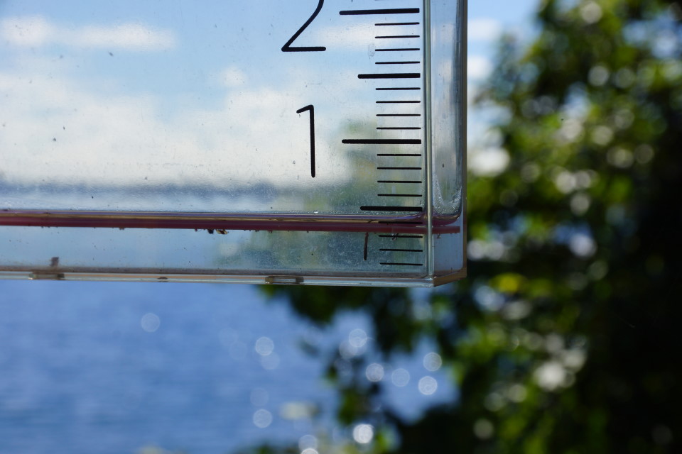 Rain.  We got a little.  Under a half an inch.  Need more.