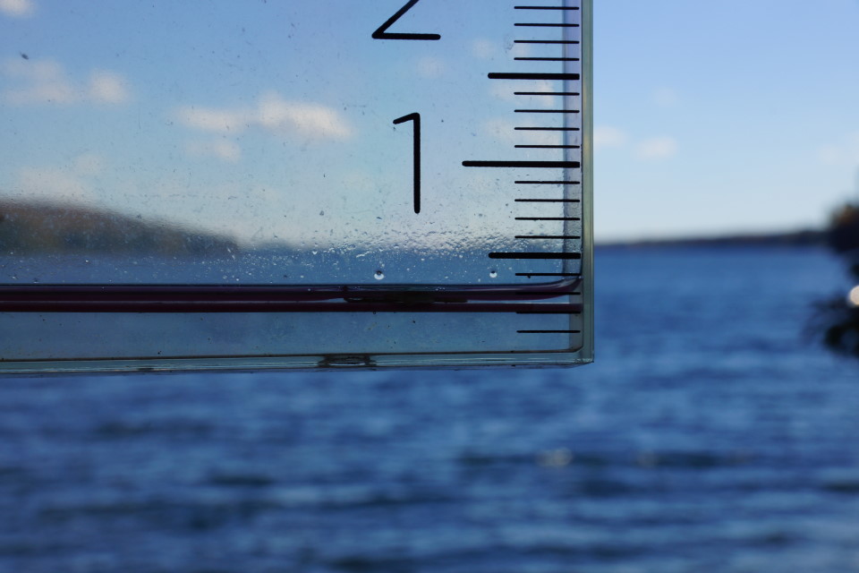 It hasn't been very wet though.  The lake got just over a quarter of an inch of rain in a single, rather short rain event late last week.  The streams are dried up and the lake is falling.  We'll get the September lake level measurement up later this week.