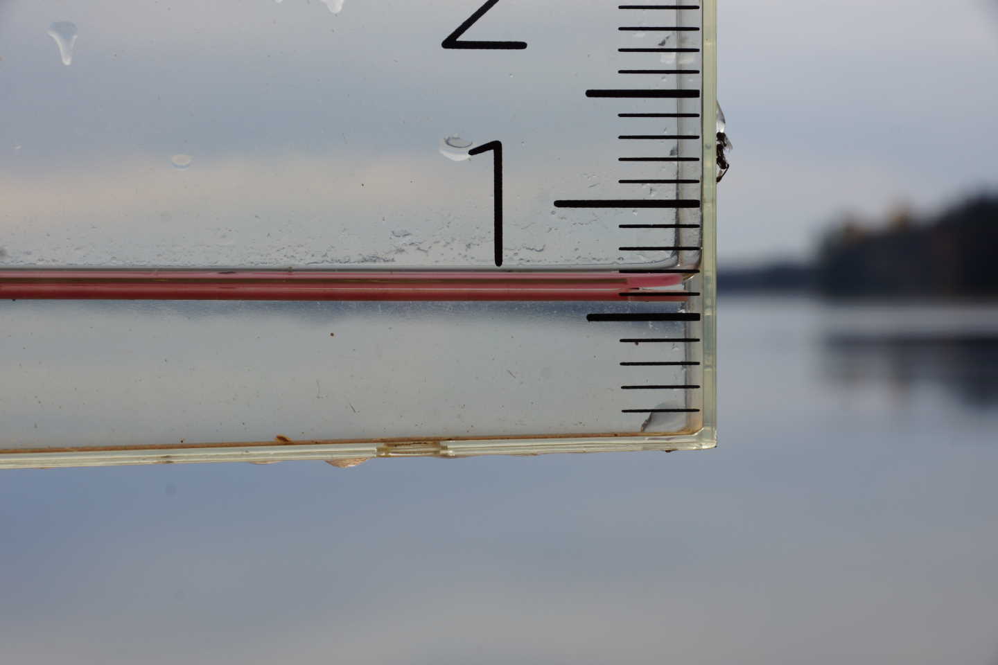 By Friday, 3 days of on and off rain added up to 0.7 inches.  For the cost of 3 days, it wasn't much.  Better than nothing though.