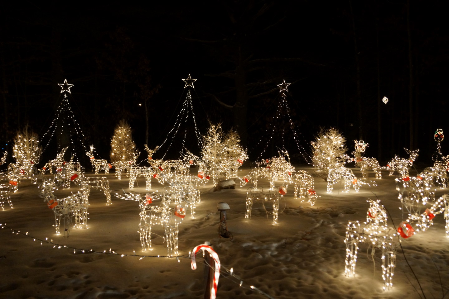 Christmas lights brighten up most of the houses in Crandon. As usual, none can hold an LED to Tom Perry's display.
