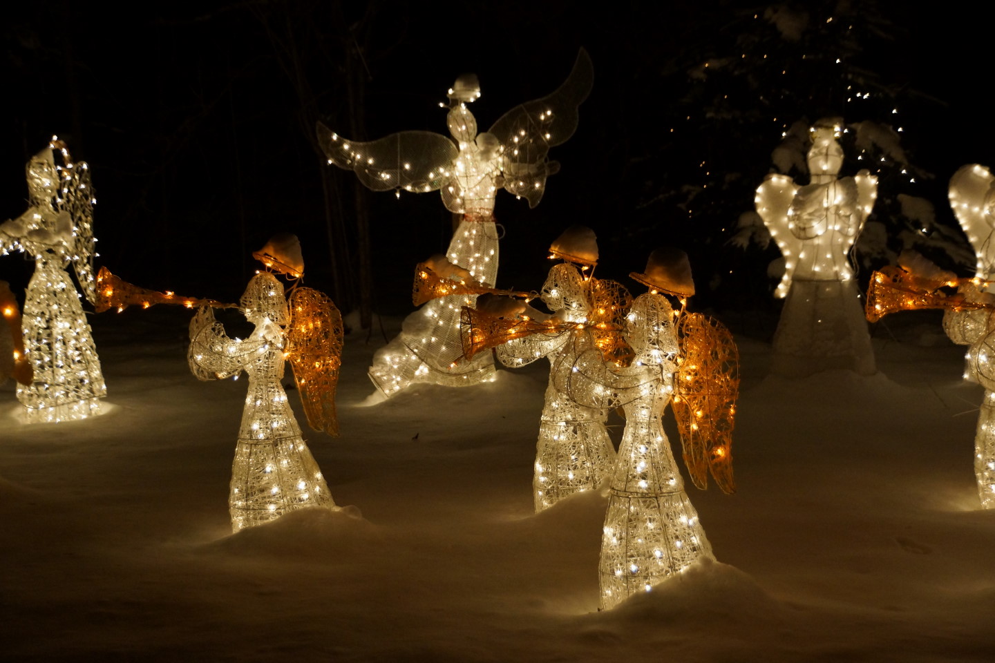 There are more deer, penguins and traditional Christmas imagery than the eye can take in at a glance.  There is also a small bit of controversy...