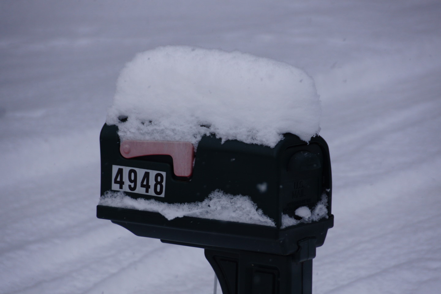 We've entered that time of year when everything outdoors has a hat.  Mail boxes, 