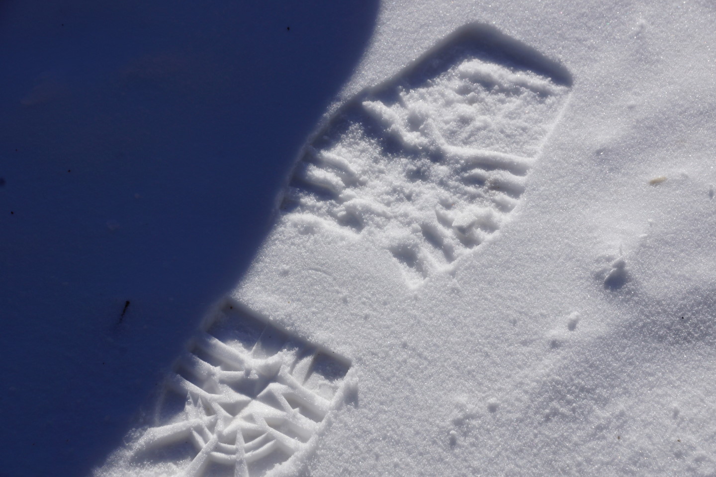 On the ground, there were signs that northwoods creatures were about and thriving.  Square toed Birkebeiners are common as are the larger and louder ski-doogers and artic-catirrles.