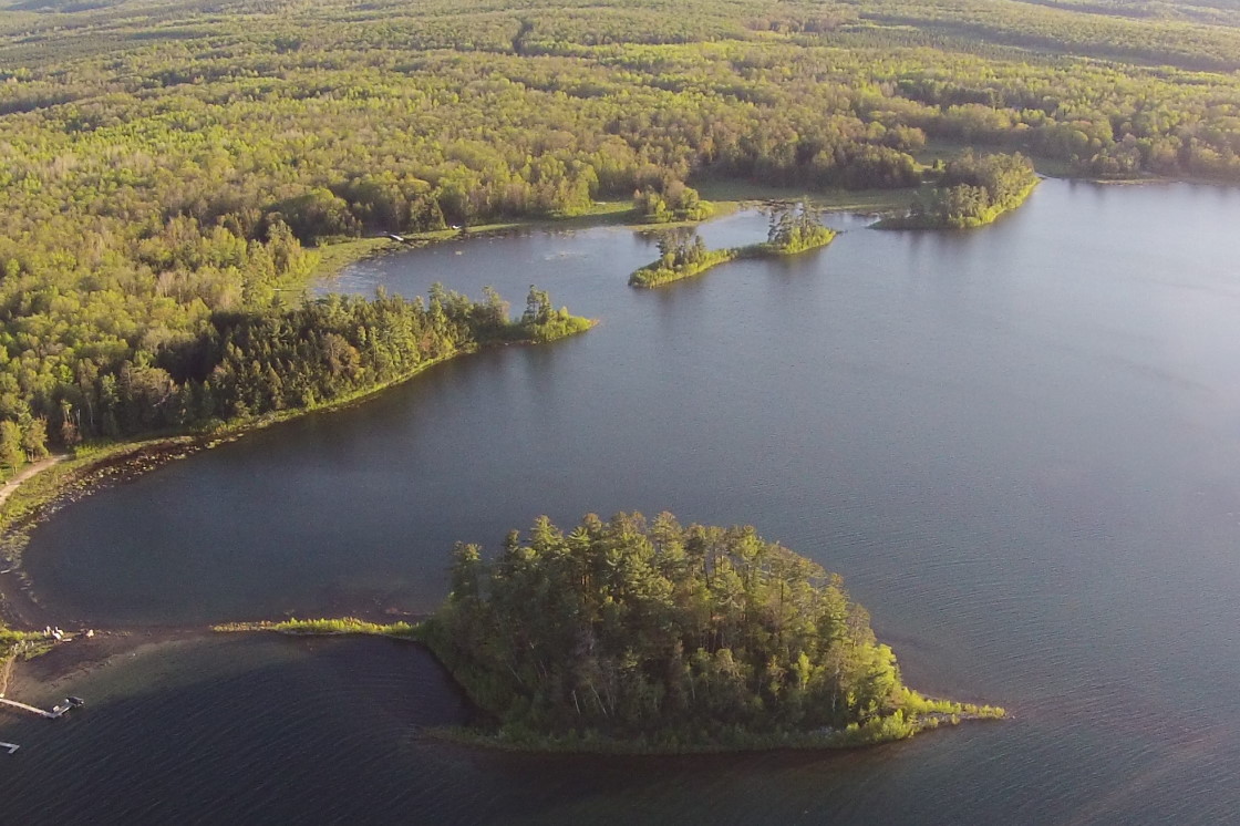 The lake is up! The inlets on the south end that had been mudlets just a year ago, are filling.