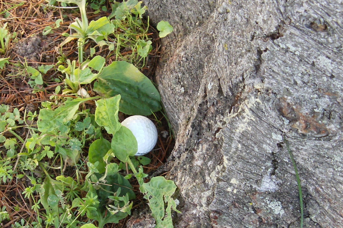 The NCC golf ball lies were more dreary than usual.