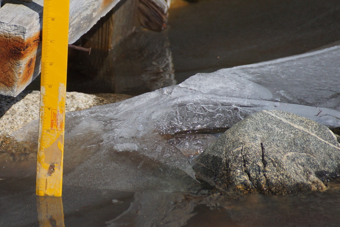 The best news last week came from the first lake level measurement of the year. Six and three quarter inches below the nail is the highest the lake has been since September of 2006. Yay!