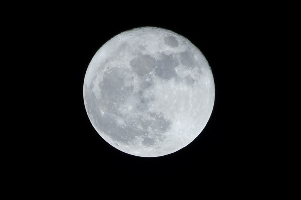 The start of the week also featured a "Super Moon". Kinda cool, but meh. If you could tell it was slightly bigger than normal, you're a better lunar observer than I. 